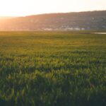 Vitamin D3 in Sunny India: Why Many of Us Run Low and Simple Ways to Get More